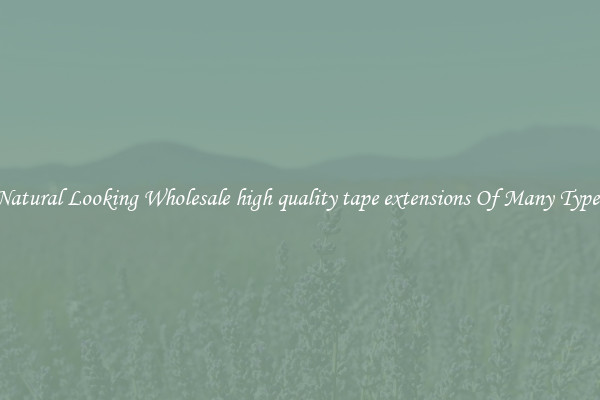 Natural Looking Wholesale high quality tape extensions Of Many Types