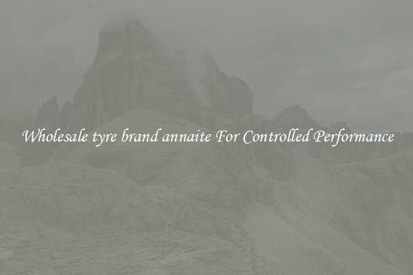 Wholesale tyre brand annaite For Controlled Performance