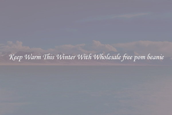 Keep Warm This Winter With Wholesale free pom beanie