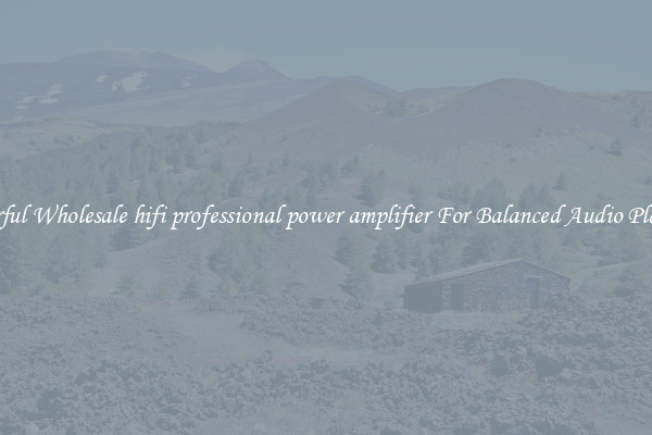 Powerful Wholesale hifi professional power amplifier For Balanced Audio Playback