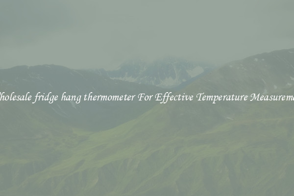 Wholesale fridge hang thermometer For Effective Temperature Measurement