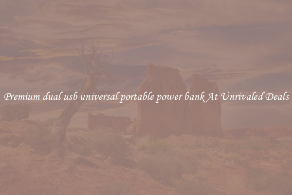 Premium dual usb universal portable power bank At Unrivaled Deals