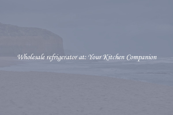 Wholesale refrigerator at: Your Kitchen Companion