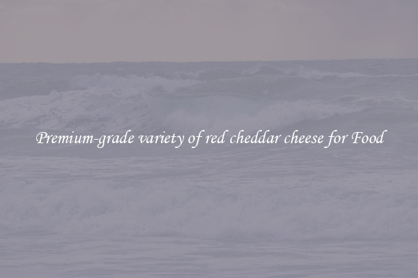 Premium-grade variety of red cheddar cheese for Food