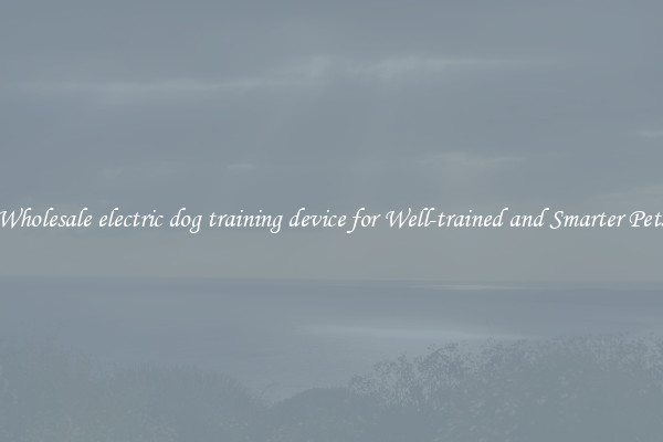 Wholesale electric dog training device for Well-trained and Smarter Pets