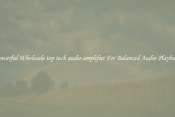 Powerful Wholesale top tech audio amplifier For Balanced Audio Playback