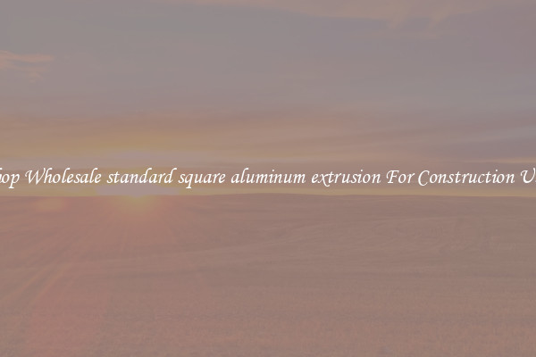Shop Wholesale standard square aluminum extrusion For Construction Uses
