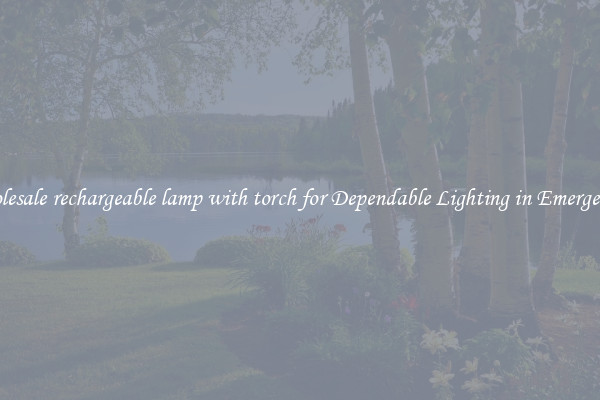 Wholesale rechargeable lamp with torch for Dependable Lighting in Emergencies
