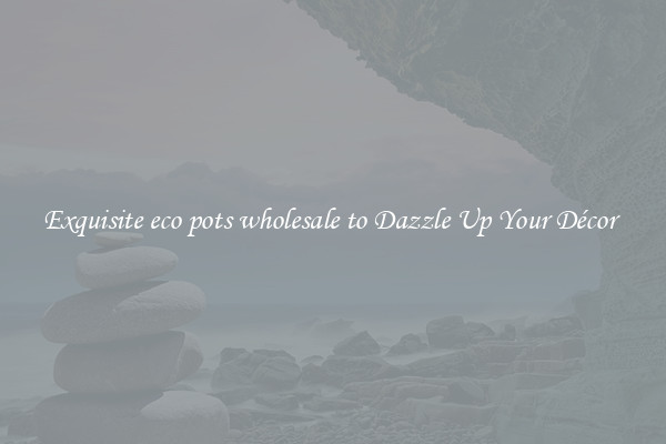 Exquisite eco pots wholesale to Dazzle Up Your Décor 