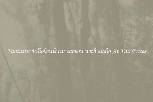 Fantastic Wholesale car camera with audio At Fair Prices