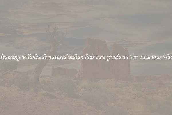 Cleansing Wholesale natural indian hair care products For Luscious Hair.
