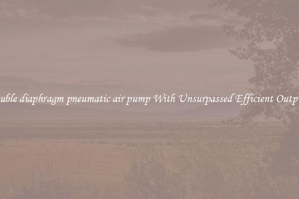 double diaphragm pneumatic air pump With Unsurpassed Efficient Outputs