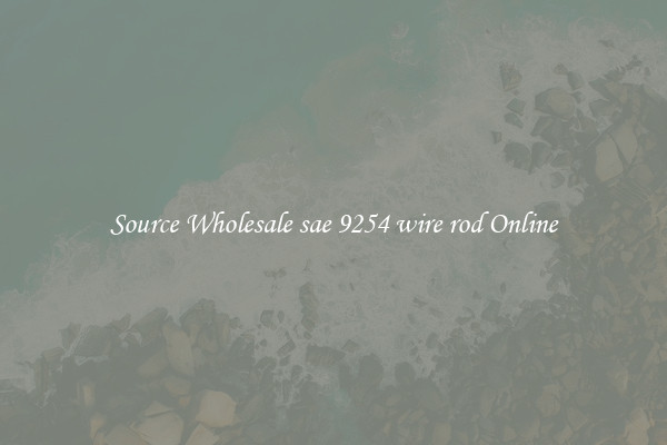 Source Wholesale sae 9254 wire rod Online