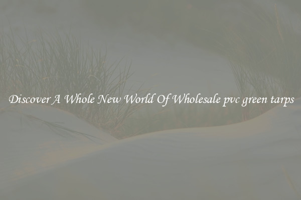 Discover A Whole New World Of Wholesale pvc green tarps