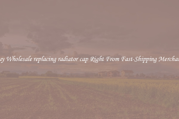 Buy Wholesale replacing radiator cap Right From Fast-Shipping Merchants