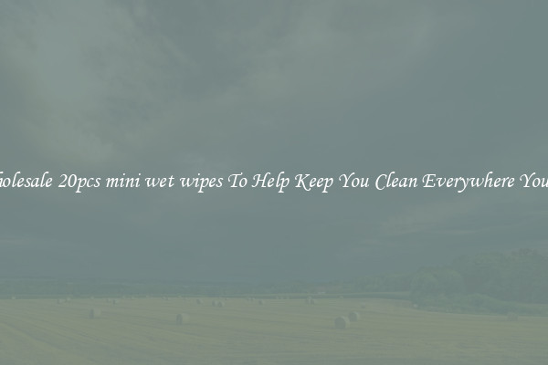 Wholesale 20pcs mini wet wipes To Help Keep You Clean Everywhere You Go