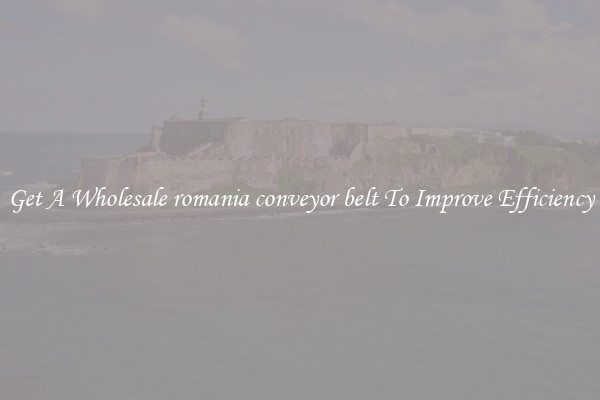 Get A Wholesale romania conveyor belt To Improve Efficiency