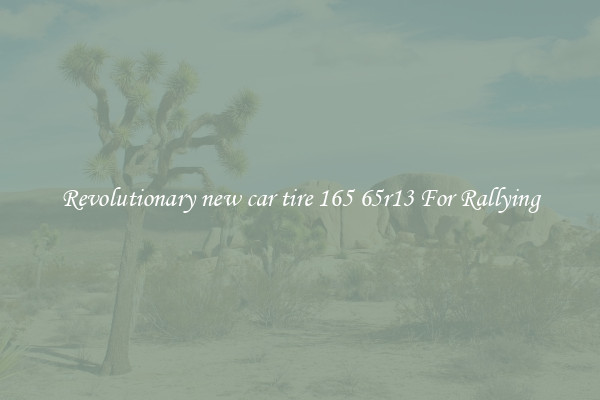 Revolutionary new car tire 165 65r13 For Rallying